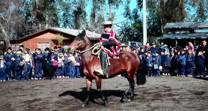 Más de 1.500 niños acudieron a lanzamiento de Fiesta de la Chilenidad en Coronel