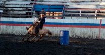 Jinetes de Llanquihue y Palena participarán en Fiestas Patrias con Pruebas de Campo y Juegos de Rienda Jinetes de Llanquihue y Palena participarán en Fiestas Patrias con Pruebas de Campo y Juegos de Rienda