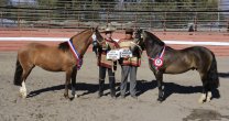 La Cachorra y Lindo Chico, los máximos ganadores de la Expo Ñuñoa La Cachorra y Lindo Chico, los máximos ganadores de la Expo Ñuñoa