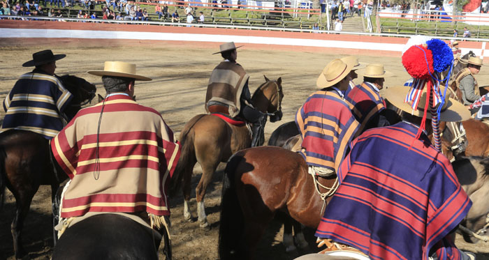 Pruebas de campo y de Rienda llamaron la atención en XXIII Semana de la Chilenidad