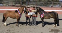 Elizabeth Kassis, Luis Iván Muñoz y Jorge Jerez, orgullosos de ser criadores Elizabeth Kassis, Luis Iván Muñoz y Jorge Jerez, orgullosos de ser criadores