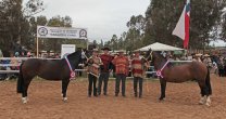 Flamante y Campera, los máximos exponentes de la Expo Marchigüe 2017 Flamante y Campera, los máximos exponentes de la Expo Marchigüe 2017