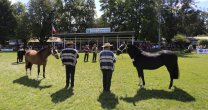 Expo SOFO 2017 ya aparece en el horizonte Expo SOFO 2017 ya aparece en el horizonte