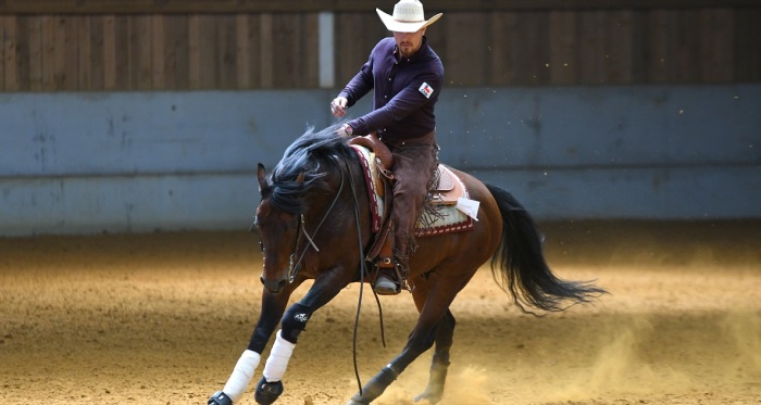 Precocidad e importancia del Caballo Chileno