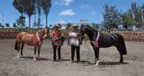 Malleco se afana en preparativos de Exposición y Rodeo Para Criadores Malleco se afana en preparativos de Exposición y Rodeo Para Criadores