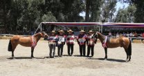 Asociación Maipo comienza a armar su Exposición y Rodeo Para Criadores Asociación Maipo comienza a armar su Exposición y Rodeo Para Criadores