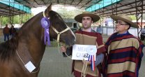 Los Grandes Premios de la Expo Til Til Los Grandes Premios de la Expo Til Til