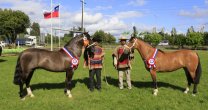 Monarca y Patroncita, los mejores en la Expo SOFO 2017 Monarca y Patroncita, los mejores en la Expo SOFO 2017