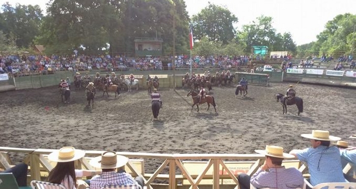 La Asociación Cautín avanza en la organización del Rodeo Zonal Sur