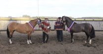 Monarca y Patroncita mostraron sus pergaminos en la Expo Collipulli Monarca y Patroncita mostraron sus pergaminos en la Expo Collipulli