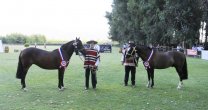 Criadores de Colchagua tienen todo listo para su Exposición Criadores de Colchagua tienen todo listo para su Exposición