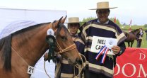 Los Grandes Premios de la Expo Colchagua 2017 Los Grandes Premios de la Expo Colchagua 2017