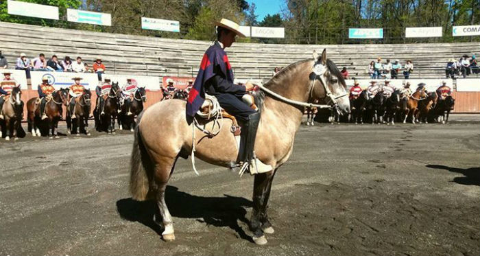 Ardura y Morales completaron al Don Pirula y al Firpo, el potro regalón del Casas del Parque