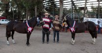 Caballo de Palo y Tupenda lograron los premios máximos en la Expo San Carlos Caballo de Palo y Tupenda lograron los premios máximos en la Expo San Carlos