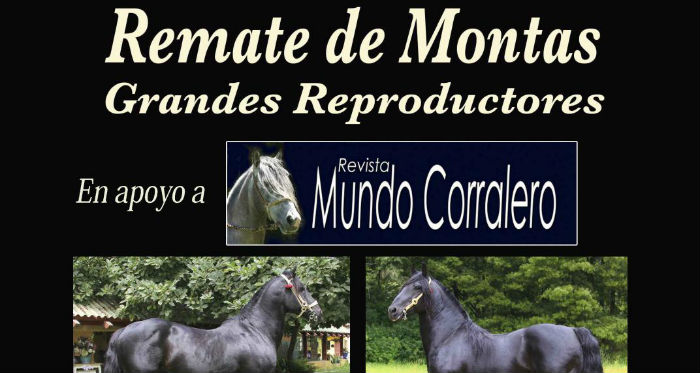 Atractivo remate de montas se realiza en apoyo a Revista Mundo Corralero