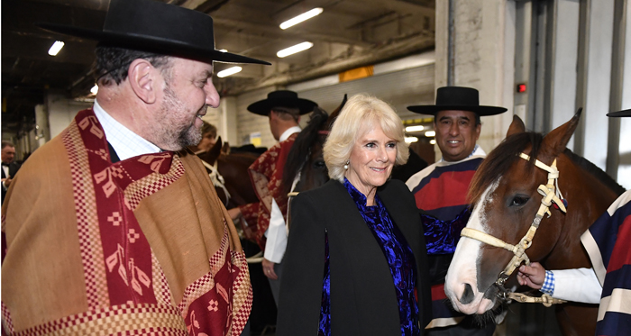 Alfredo Moreno Charme: Construimos una gran oportunidad para el caballo, al mejor nivel