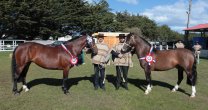 Silencioso y Pintosa en Domingo, los mejores exponentes de la Expo Magallanes Silencioso y Pintosa en Domingo, los mejores exponentes de la Expo Magallanes
