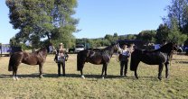 Asociación de Criadores de Los Ríos alista un llamativo fin de semana en Lanco Asociación de Criadores de Los Ríos alista un llamativo fin de semana en Lanco
