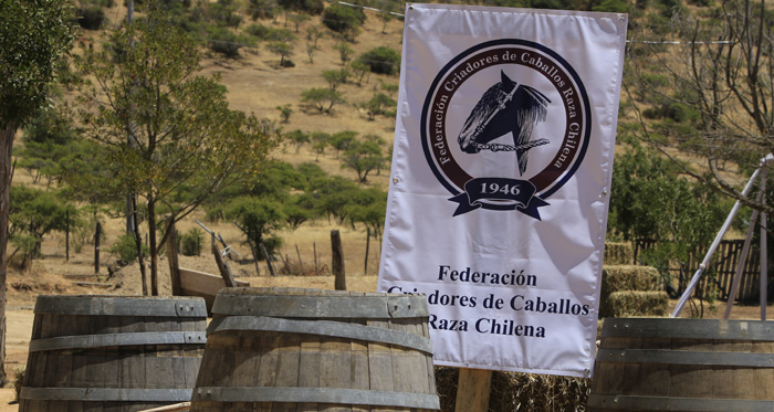 En Marchigüe están esperando a los criadores con los brazos abiertos