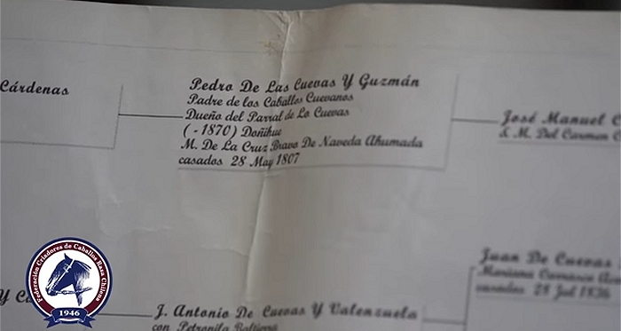 Federación de Criadores continúa con serie documental