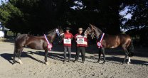 El Huerfanito y La Josefa fueron los grandes ganadores de la Expo Chiloé El Huerfanito y La Josefa fueron los grandes ganadores de la Expo Chiloé