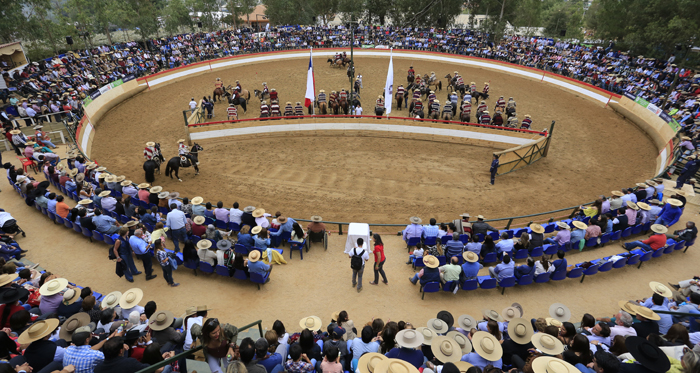 Experiencias de una Final de Criadores de Caballos de Raza Chilena