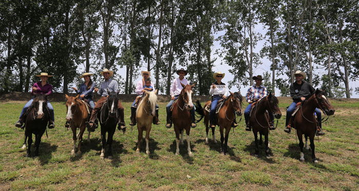 Caballos Chilenos buscarán en Llanquihue la clasificación a los Juegos Mundiales 2018