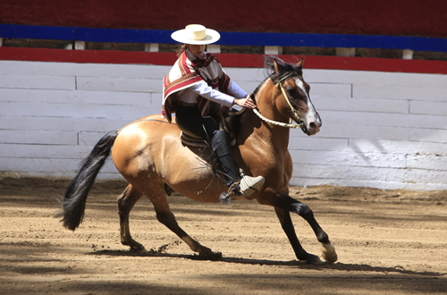 Imagen foto_00000002