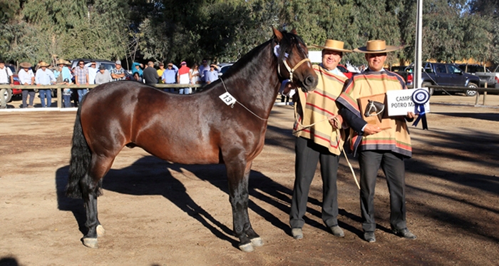 Rafael Toro disfrutó con otra exitosa jornada en la Expo Melipilla