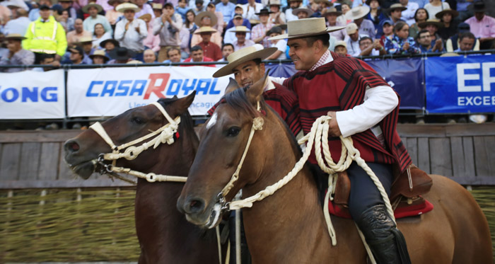 Criadero Higuera Norte: 