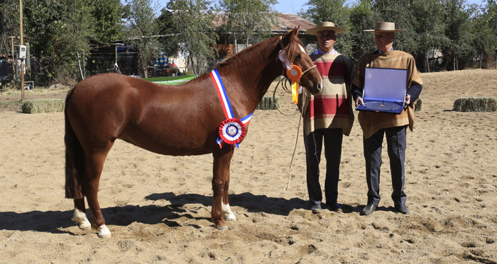 Exposición de Santa Cruz coronó a Gran Chico y Linda Chica