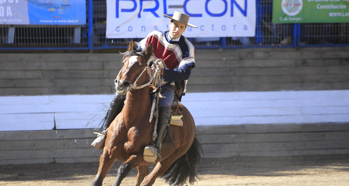 Hugo Navarro tras ganar la rienda en el Universitario: La Milonga se merecía un descanso