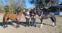 Criadores de Limarí tendrán este sábado su Exposición en Punitaqui Criadores de Limarí tendrán este sábado su Exposición en Punitaqui