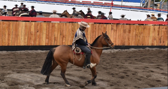 Francisco Reveco partió la Temporada Chica 2018 en el Criadero Santa Elba, su nueva casa