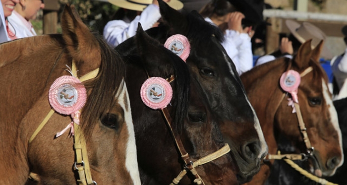 La IX Final de Rodeos Promocionales Femeninos estará dedicada a la memoria de Paulina Díaz
