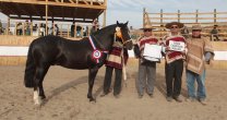 Rafael Canihuante y premios de Río Elqui Con Tuti: Rafael Canihuante y premios de Río Elqui Con Tuti: