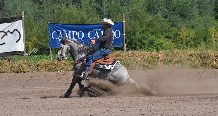 En Criadero Doña Olga de Orense habrá competencia de Rienda Internacional