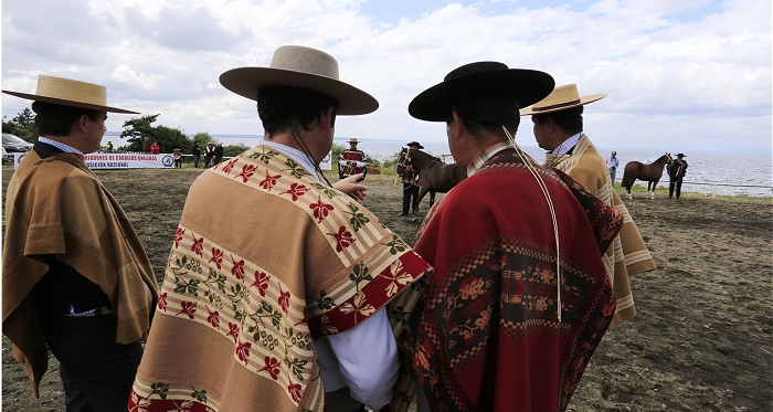 Invitación a conocer más de nuestro Caballo de Raza Chilena