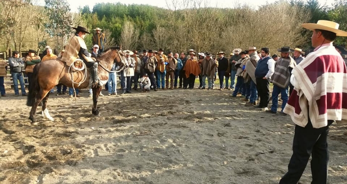 Taller de Rienda con Alfonso Navarro en Cauquenes resultó muy exitoso