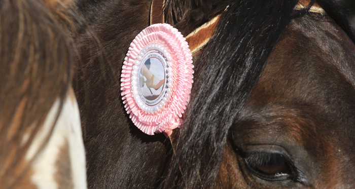 Agrupación Nacional de Mujeres del Rodeo Chileno hizo positivo balance de la Temporada 2017-2018