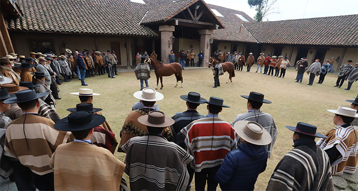 Primera sesión de Curso de Formación Permanente Sobre el Caballo Chileno tuvo masiva convocatoria