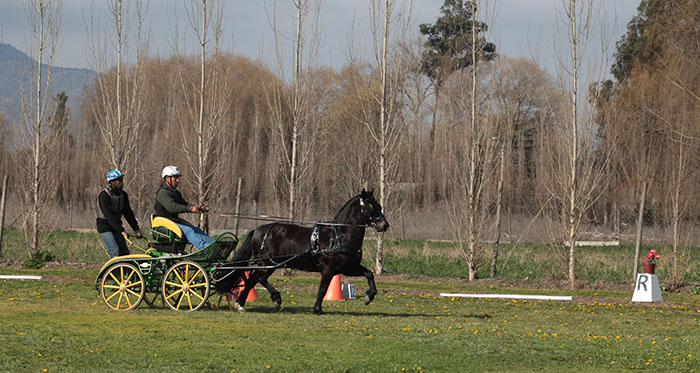 Con gran convocatoria se realizó competencia de Enganche en Cochera Las Peñas