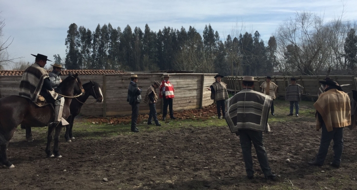 Taller de Rienda tuvo gran participación en Rauco