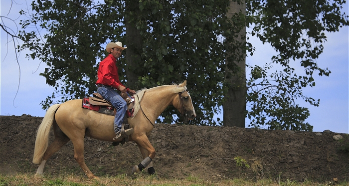 Marcelo Troncoso: Queremos mostrar nuevamente nuestros caballos al mundo