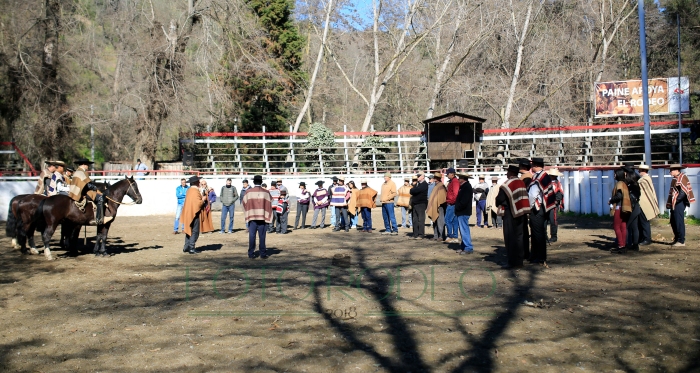 En Aculeo se realizó valioso Taller de Rienda con socios de Ferocam