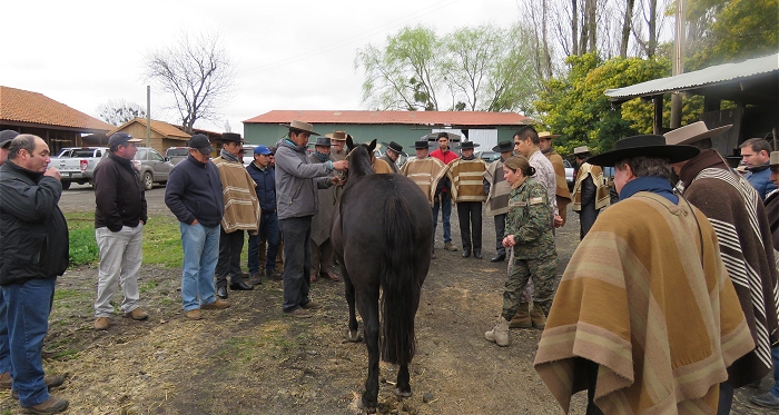 Exitoso y concurrido Taller de Herraje tuvieron criadores de Ñuble