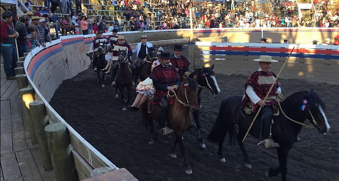 Criadero La Cabaña de Bucalemu se impuso en el rodeo para criadores efectuado en Salamanca