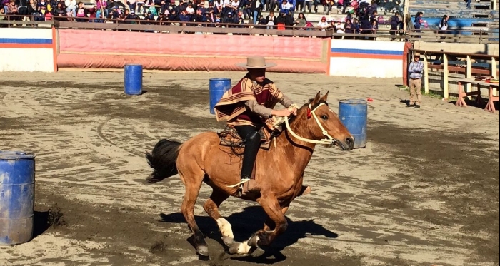 Club Coronel lanzó su Fiesta de la Chilenidad con colegios de la comuna