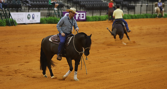 Marcelo Guzmán: El desafío es mostrar de la mejor forma al caballo chileno