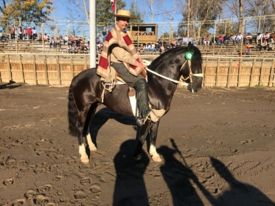 Imagen foto_00000004